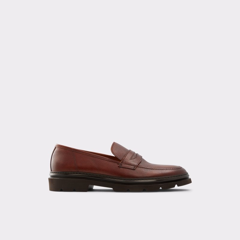 Aldo Droarien Loafers Herren Braun | TKMNO-7530