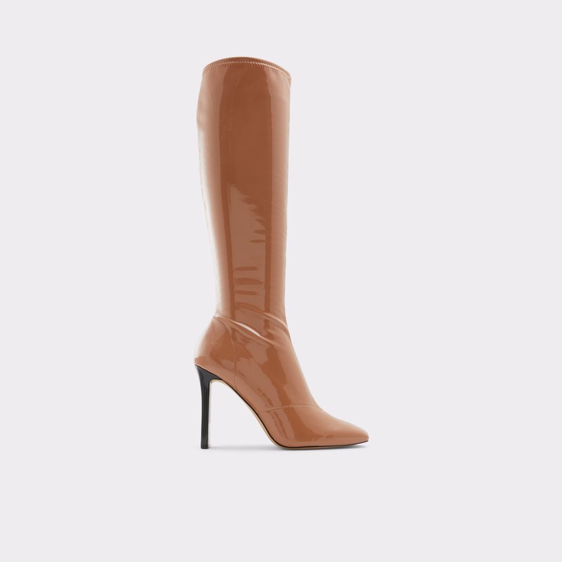 Aldo Edigorwen Knee High Boots Damen Dunkelbeige | SDBIX-8423