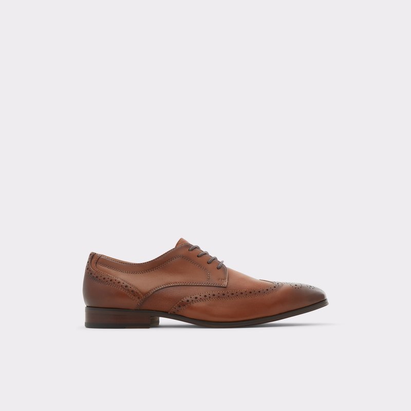 Aldo Thiasien Lederschuhe Herren Braun | LUDRF-0946