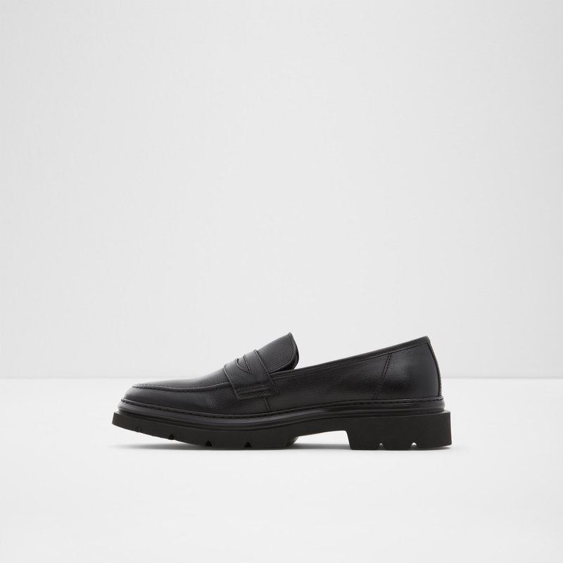 Aldo Droarien Loafers Herren Schwarz | XIRGV-1736