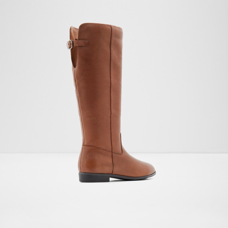 Aldo Keesha Knee High Boots Damen Braun | AURES-2039