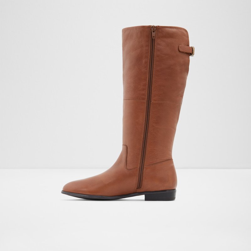 Aldo Keesha-wwc Knee High Boots Damen Braun | XJDUT-7158