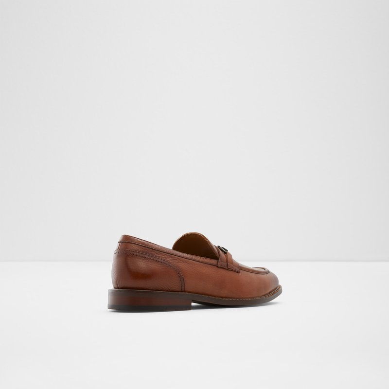 Aldo Schergerflex Loafers Herren Braun | KNRIS-3501