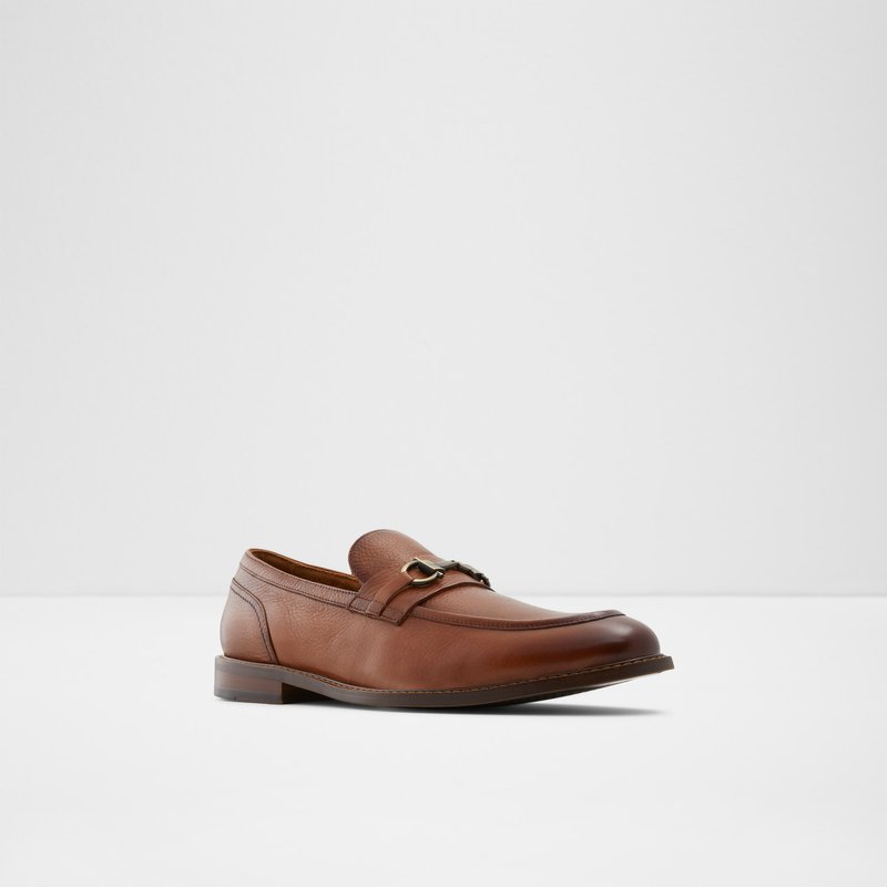 Aldo Schergerflex Loafers Herren Braun | KNRIS-3501