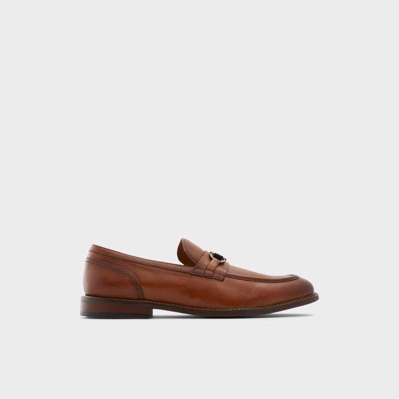 Aldo Schergerflex Loafers Herren Braun | KNRIS-3501